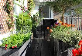 TERRACE & BALCONY GARDENS TERRACE & BALCONY GARDENS