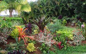 EXOTIC GARDEN