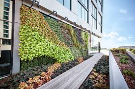GREEN WALL & VERTICAL GARDEN GREEN WALL & VERTICAL GARDEN