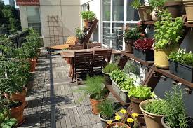 TERRACE & BALCONY GARDENS TERRACE & BALCONY GARDENS