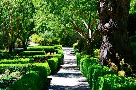 Landscape Management