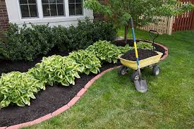 LANDSCAPE MAINTENACE LANDSCAPE MAINTENACE