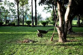 LANDSCAPE MAINTENACE LANDSCAPE MAINTENACE