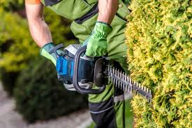 LANDSCAPE MAINTENACE LANDSCAPE MAINTENACE