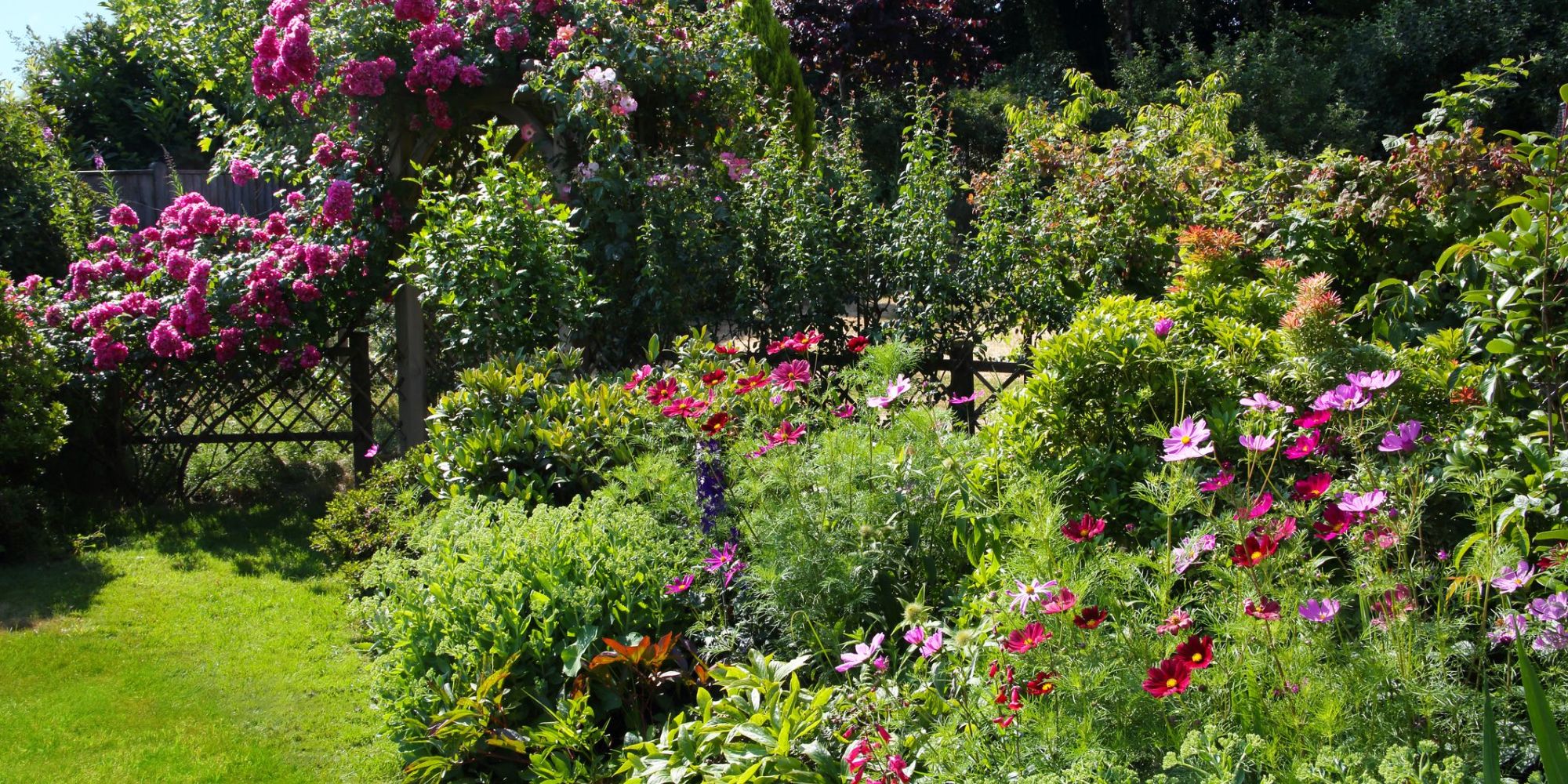 imported-plants.jpg