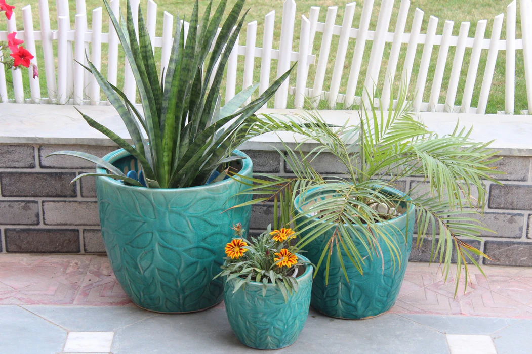 Imported Plant Soft Landscaping
