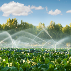 Irrigation & Water Management