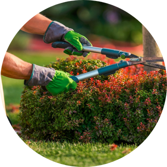 LANDSCAPE MAINTENANCE 