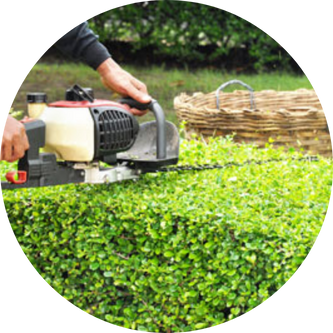 LANDSCAPE MANAGEMENT