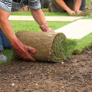 Landscape Construction & Installation