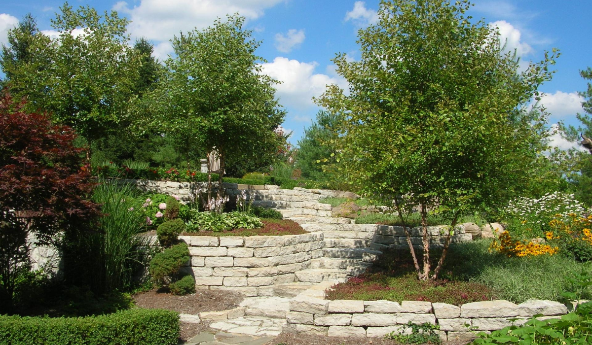 Landscape development