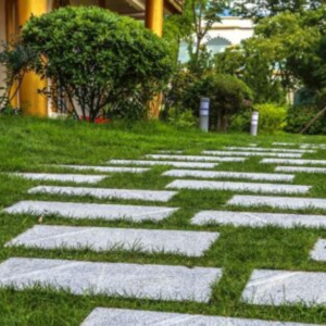Softscaping: Plants & Greenery