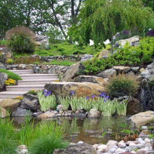 Sustainable Landscaping