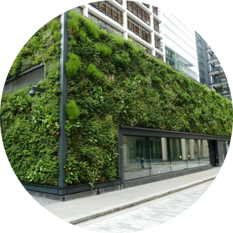 GREEN WALL & VERTICAL GARDEN<br />
